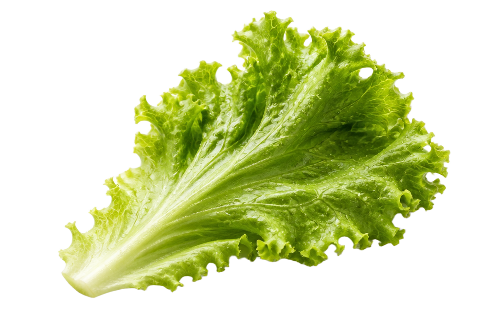 Leaf